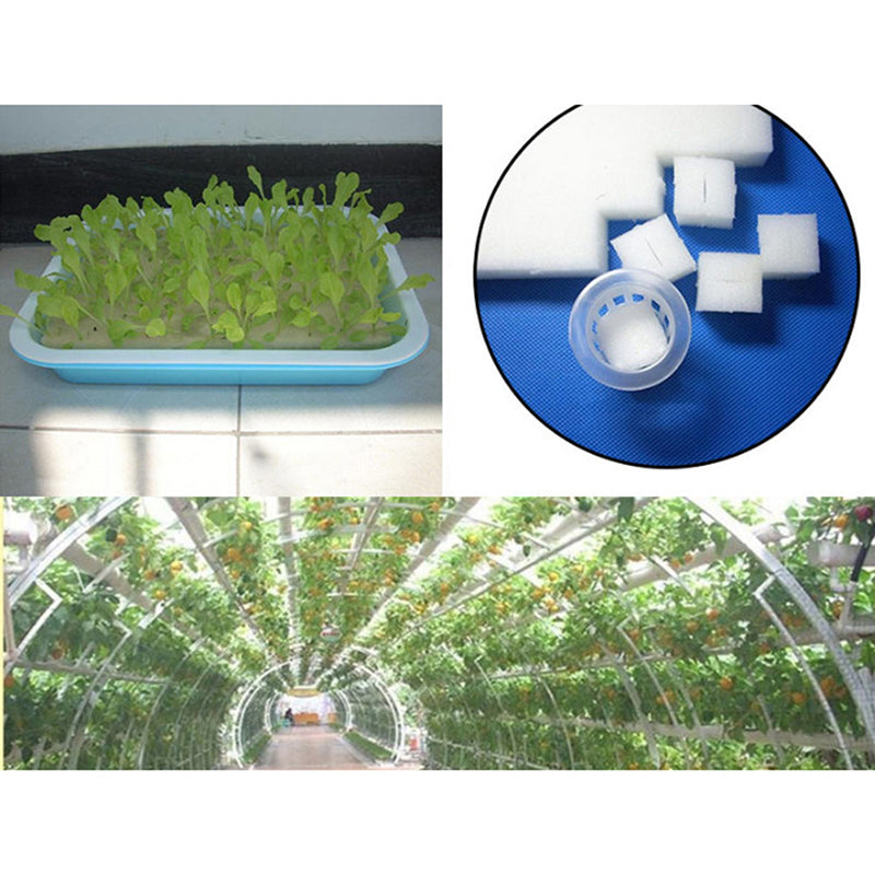 Hydroponic Grow Sponges for Soil-Less Cultivation (100) by HitMyNeed
