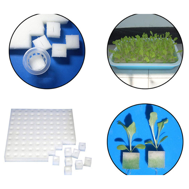 Hydroponic Grow Sponges for Soil-Less Cultivation (100) by HitMyNeed