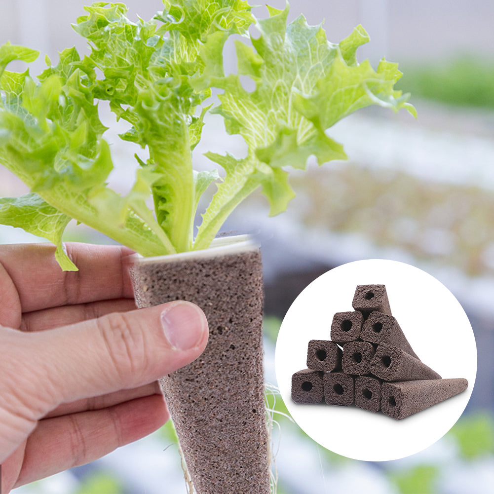 Hydroponic Planting Sponges 50-Pack for Seed Starting by HitMyNeed