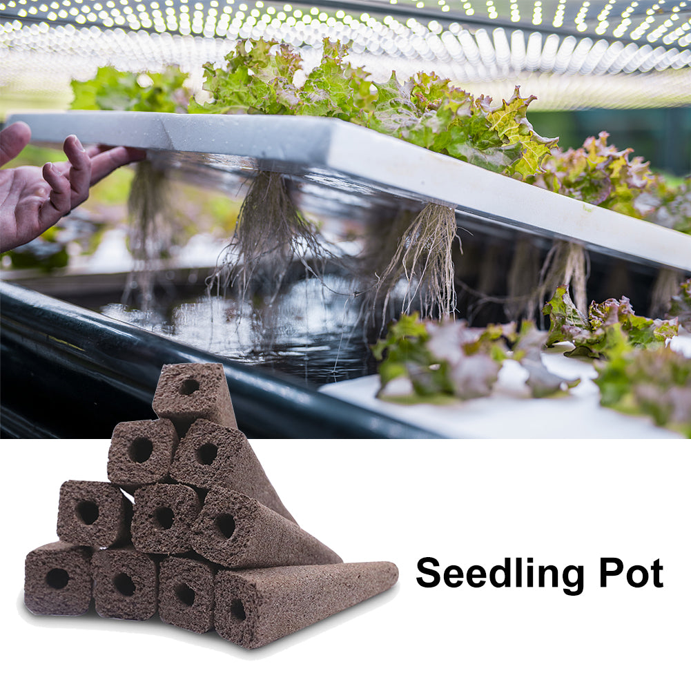 Hydroponic Planting Sponges 50-Pack for Seed Starting by HitMyNeed