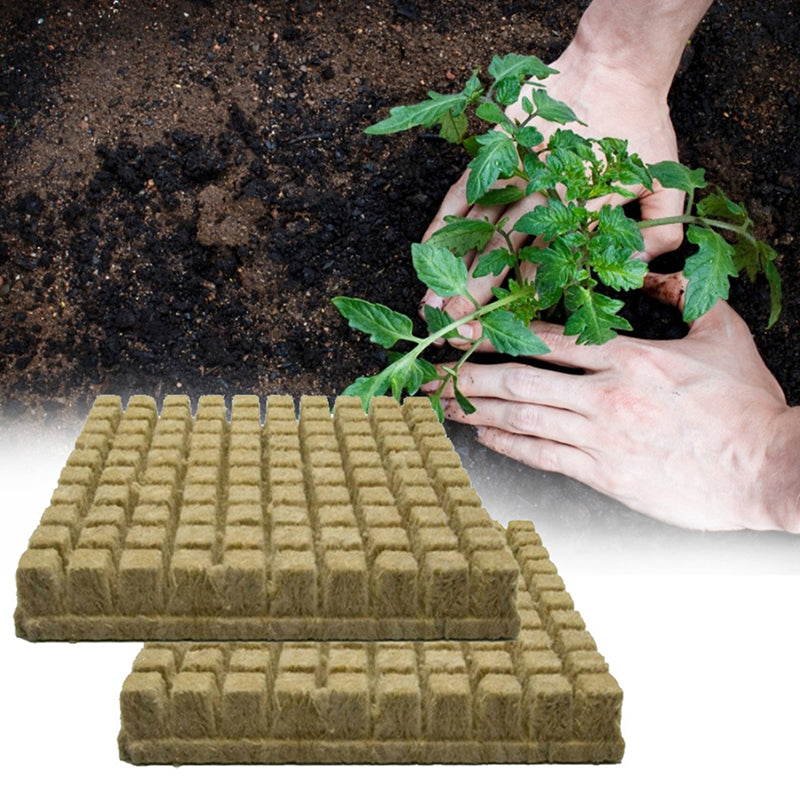 Hydroponic Stone Wool Planting Cubes (50 Pack) by HitMyNeed