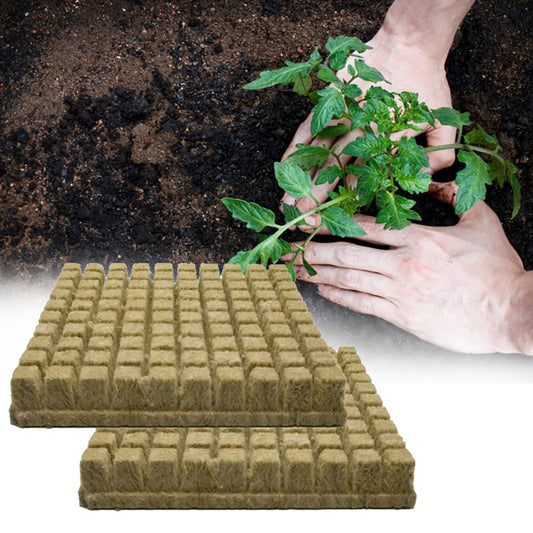 Hydroponic Stone Wool Planting Cubes (50 Pack) by HitMyNeed