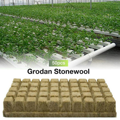 Hydroponic Stone Wool Planting Cubes (50 Pack) by HitMyNeed