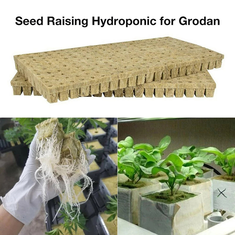 Hydroponic Stone Wool Planting Cubes (50 Pack) by HitMyNeed