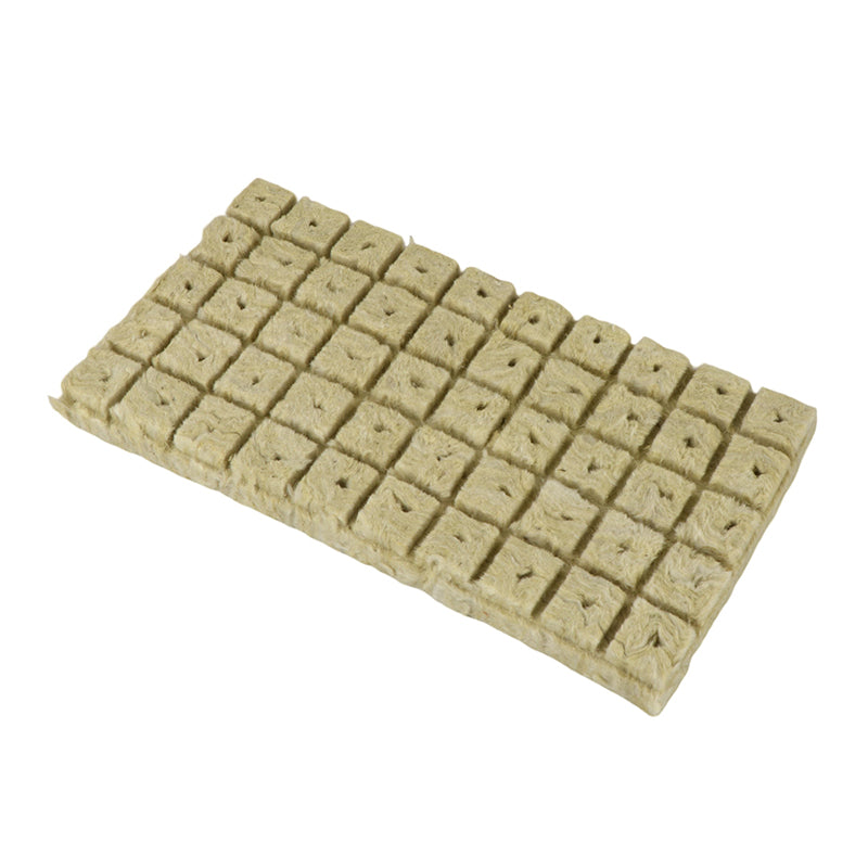 Hydroponic Stone Wool Planting Cubes (50 Pack) by HitMyNeed