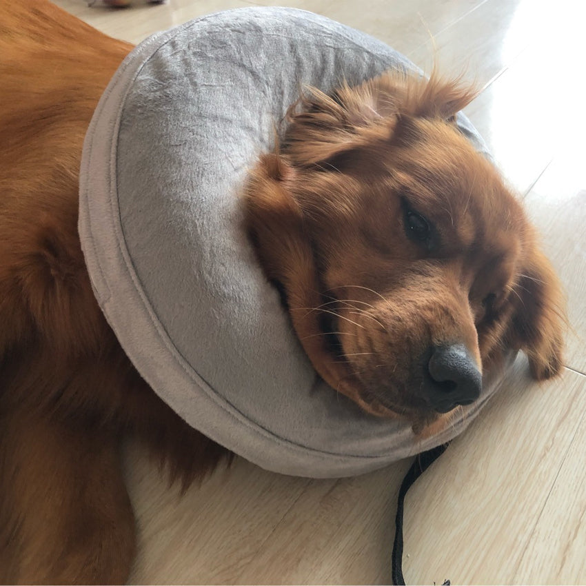 Inflatable Dog Recovery Neck Pillow Cone by HitMyNeed