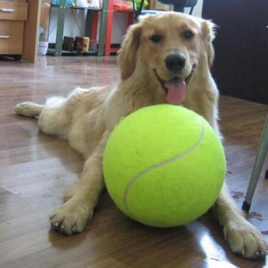 Inflatable Giant Dog Tennis Ball 24cm by HitMyNeed