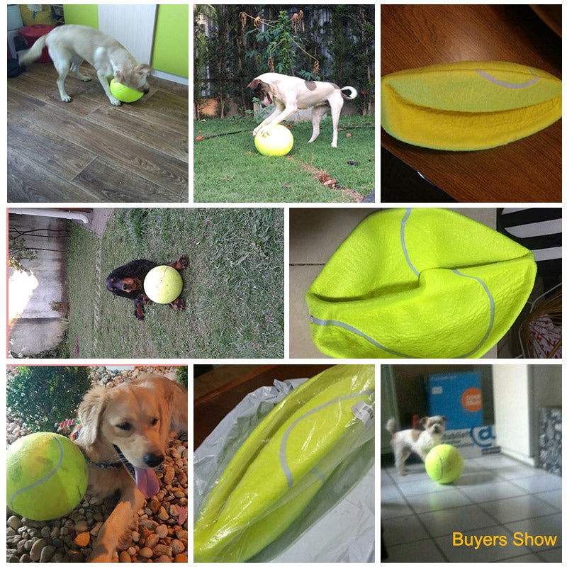 Inflatable Giant Dog Tennis Ball 24cm by HitMyNeed