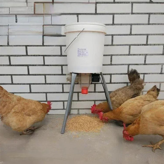 Intelligent Automatic Poultry Feeder for Birds by HitMyNeed