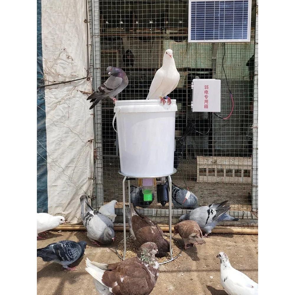 Intelligent Automatic Poultry Feeder for Birds by HitMyNeed