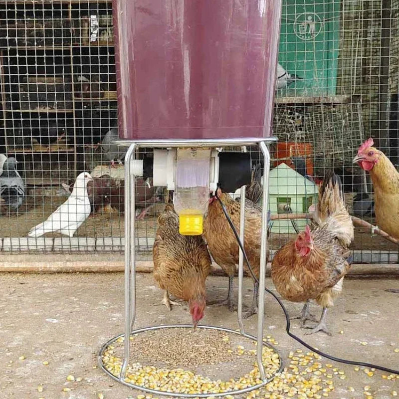 Intelligent Automatic Poultry Feeder for Birds by HitMyNeed