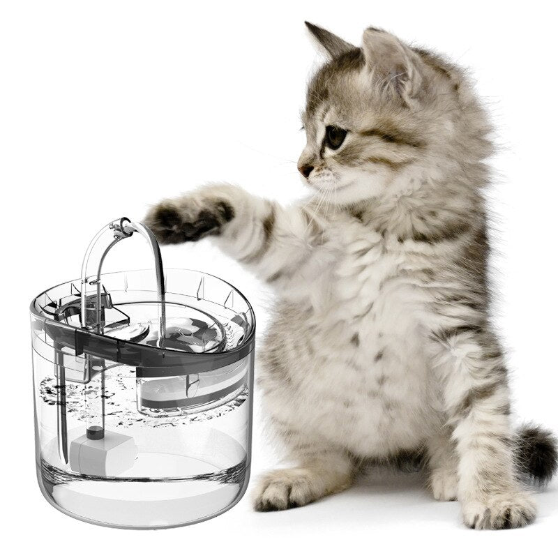 Intelligent Pet Water Fountain with Constant Temperature by HitMyNeed