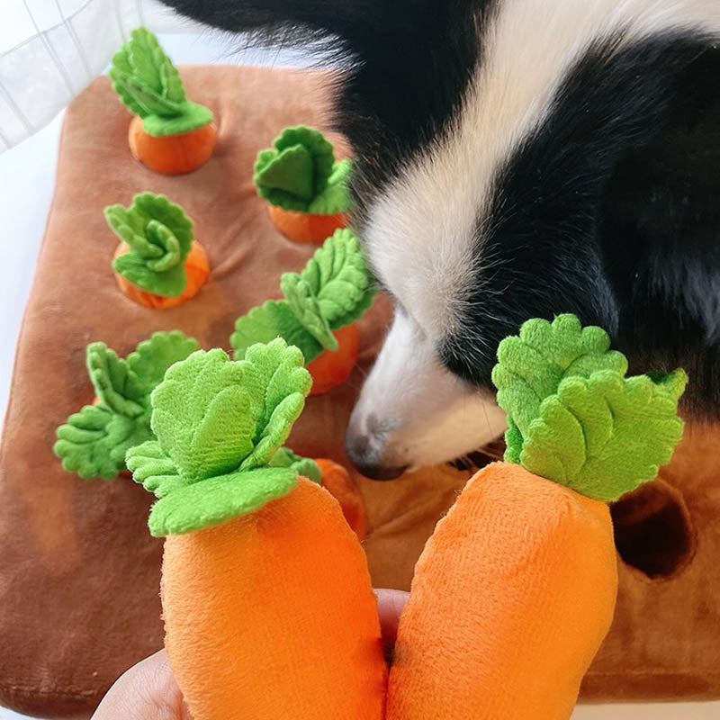 Interactive Carrot Patch Snuffle Toy for Dogs by HitMyNeed