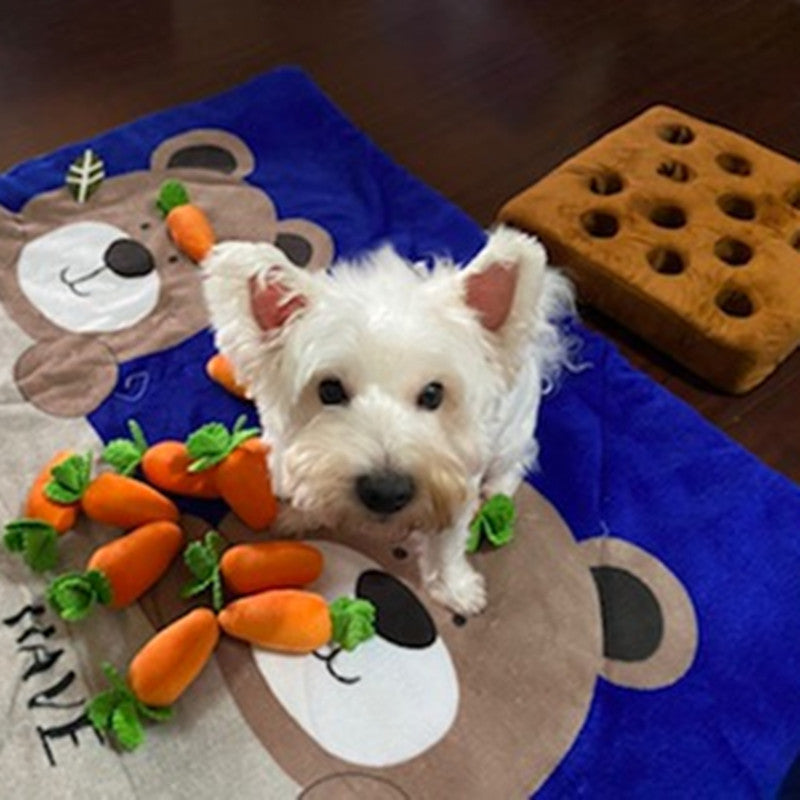 Interactive Carrot Patch Snuffle Toy for Dogs by HitMyNeed
