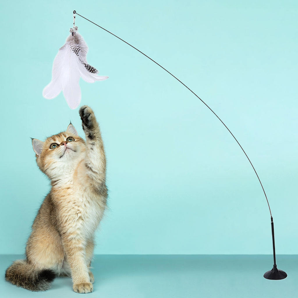 Interactive Cat Bird Feather Toy with Suction Base by HitMyNeed