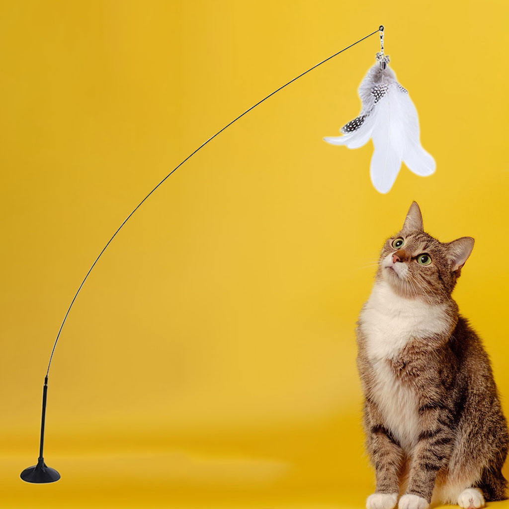 Interactive Cat Bird Feather Toy with Suction Base by HitMyNeed
