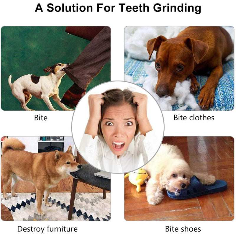 Interactive Rubber Treat Ball for Small Dogs by HitMyNeed