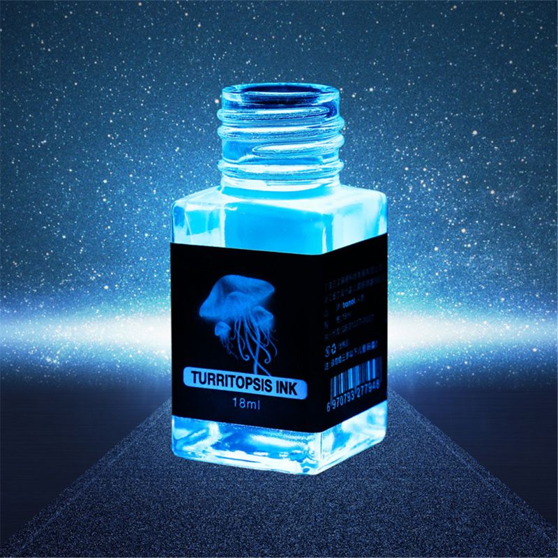 Invisible UV Ink for Fountain and Dip Pens 18ml by HitMyNeed