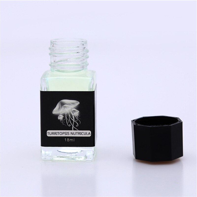 Invisible UV Ink for Fountain and Dip Pens 18ml by HitMyNeed