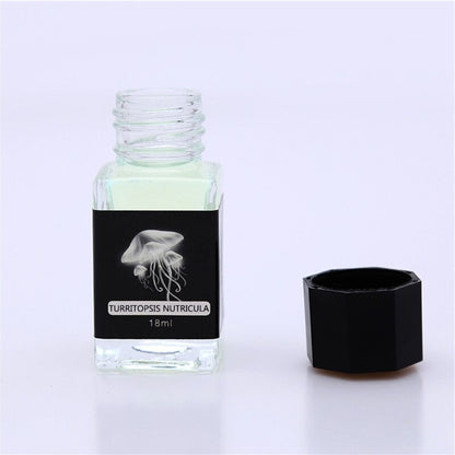 Invisible UV Ink for Fountain and Dip Pens 18ml by HitMyNeed