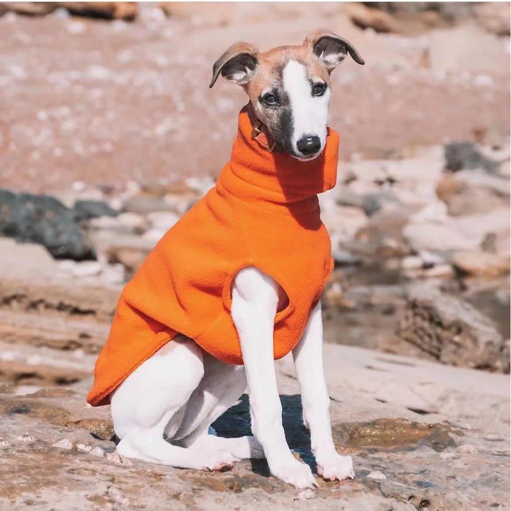 Italian Greyhound Fleece Turtleneck Sweater by HitMyNeed