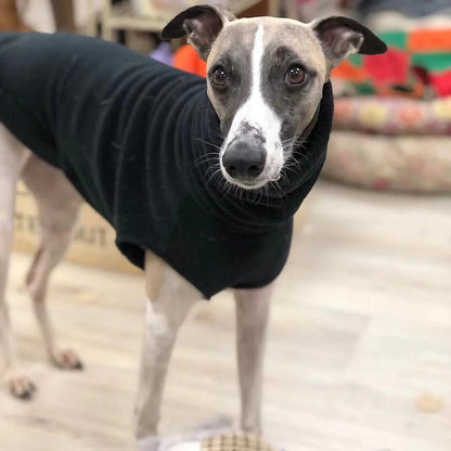 Italian Greyhound Fleece Turtleneck Sweater by HitMyNeed