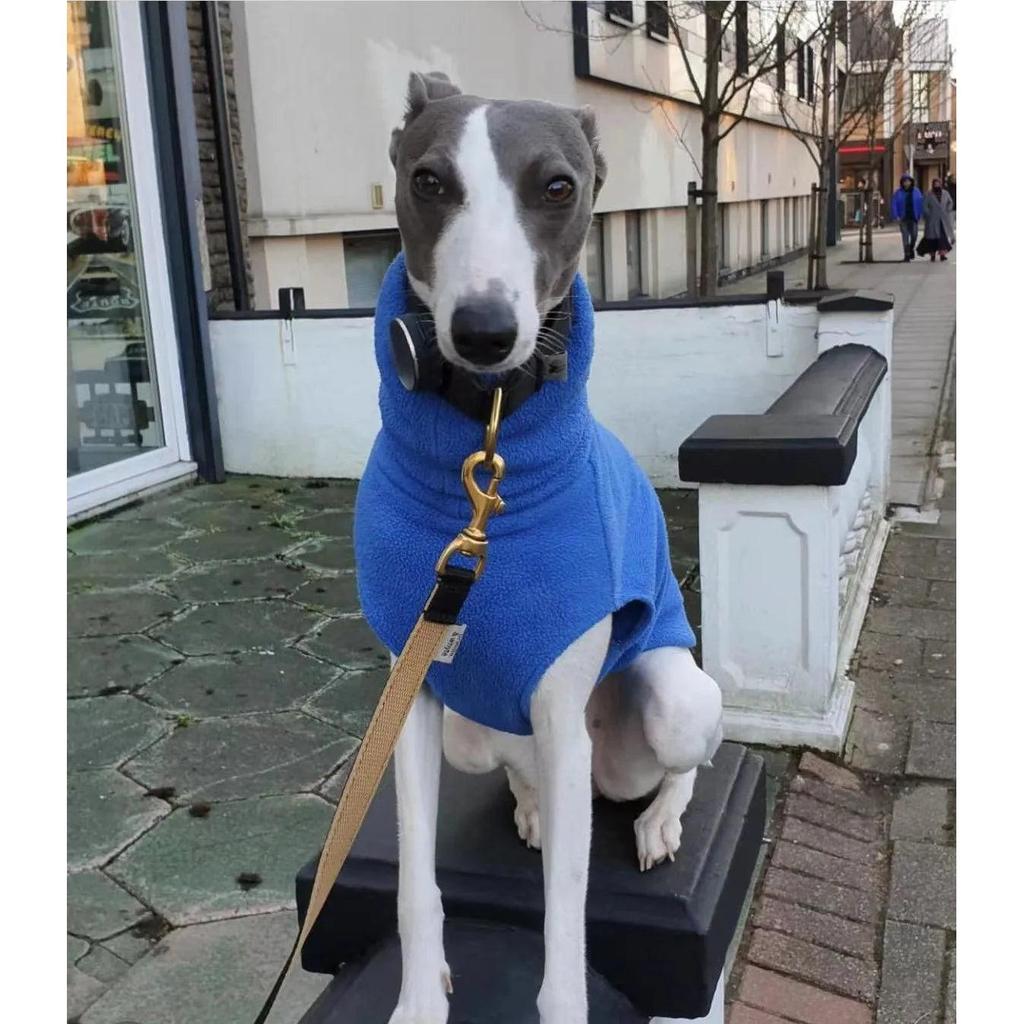 Italian Greyhound Fleece Turtleneck Sweater blue xl by HitMyNeed