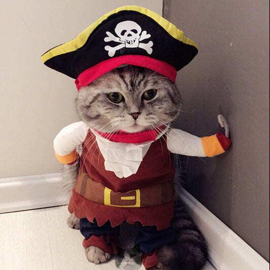 Jack Sparrow Pirate Pet Costume for Dogs & Cats by HitMyNeed
