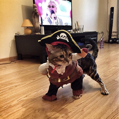 Jack Sparrow Pirate Pet Costume for Dogs & Cats by HitMyNeed
