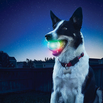 K9 LED Light Up Dog Ball 6cm by HitMyNeed