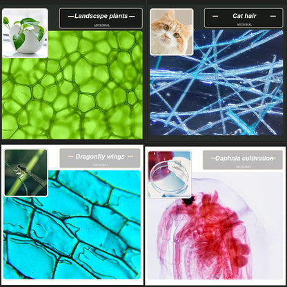 Kids LED Microscope 1200x Biology Science Kit by HitMyNeed