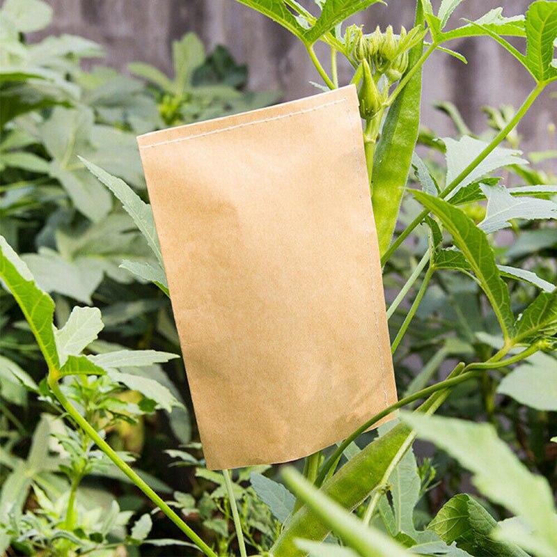 Kraft Paper Seed Envelopes (100 Pack) by HitMyNeed