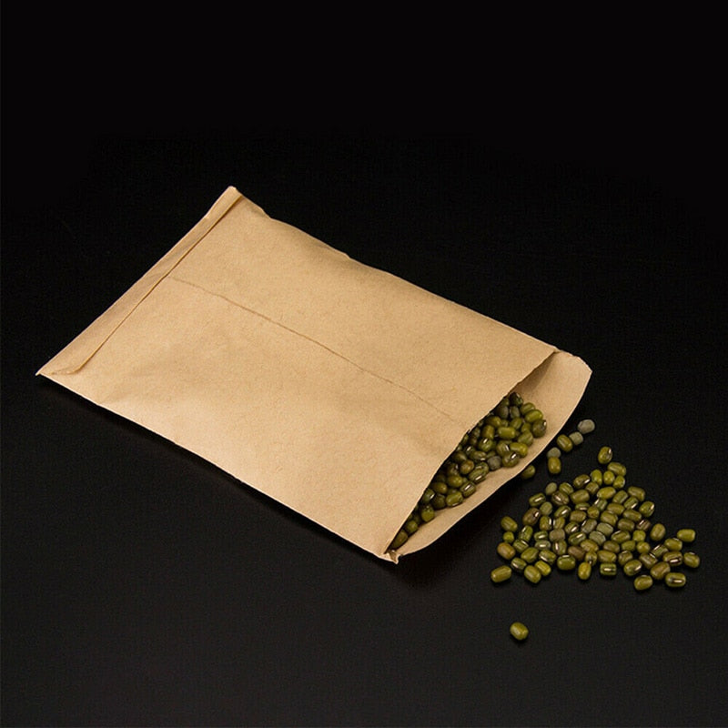 Kraft Paper Seed Envelopes (100 Pack) by HitMyNeed