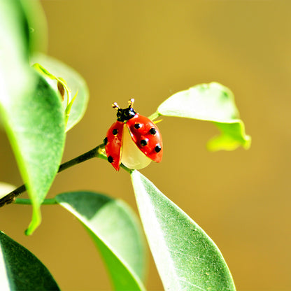 Ladybug Brooch with Rhinestones and Opal by HitMyNeed