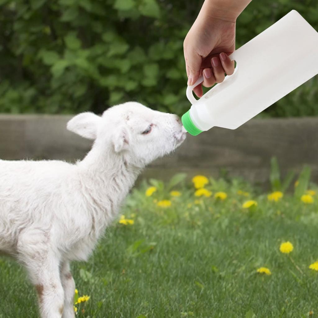 Large Capacity Calf Feeding Bottle 850ml by HitMyNeed
