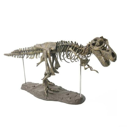 Large DIY T-Rex Dinosaur Skeleton Model for Kids by HitMyNeed