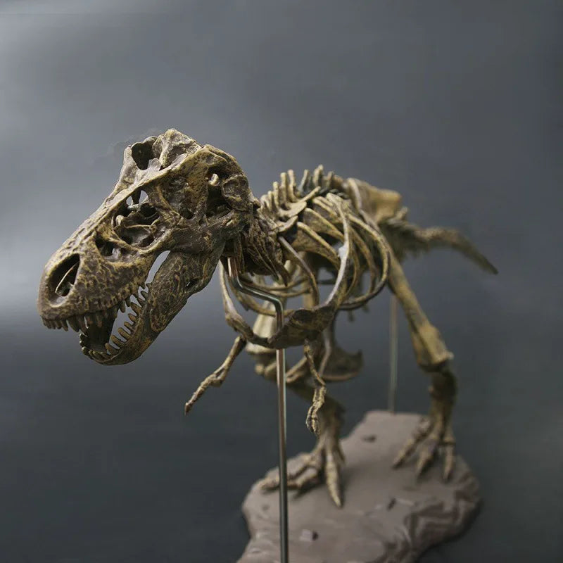 Large DIY T-Rex Dinosaur Skeleton Model for Kids by HitMyNeed
