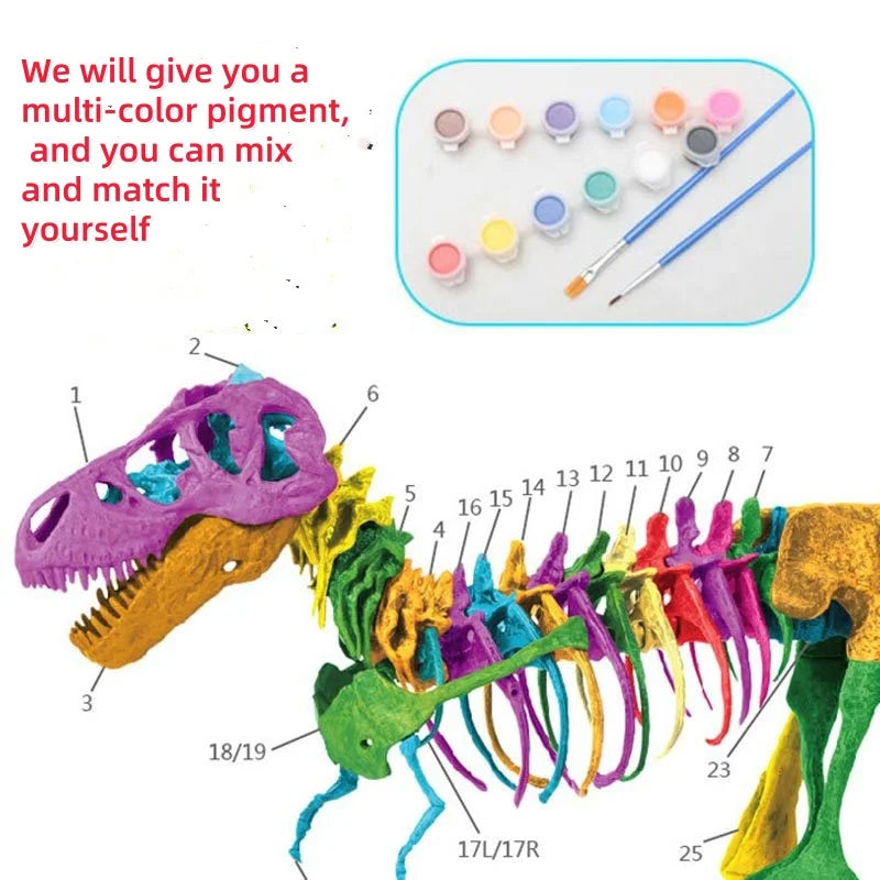 Large DIY T-Rex Dinosaur Skeleton Model for Kids by HitMyNeed