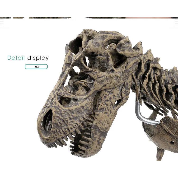 Large DIY T-Rex Dinosaur Skeleton Model for Kids by HitMyNeed
