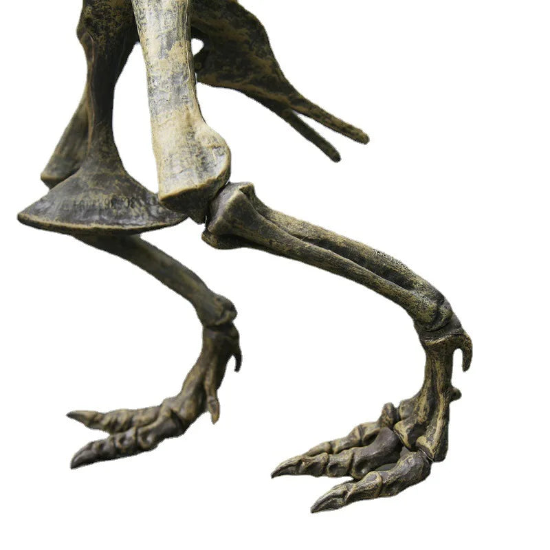 Large DIY T-Rex Dinosaur Skeleton Model for Kids by HitMyNeed