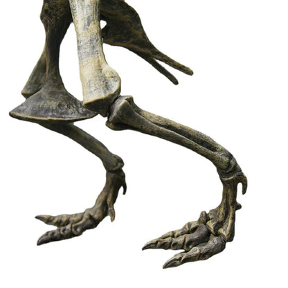 Large DIY T-Rex Dinosaur Skeleton Model for Kids by HitMyNeed