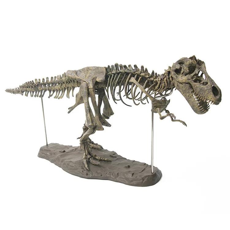 Large DIY T-Rex Dinosaur Skeleton Model Kit 70cm by HitMyNeed