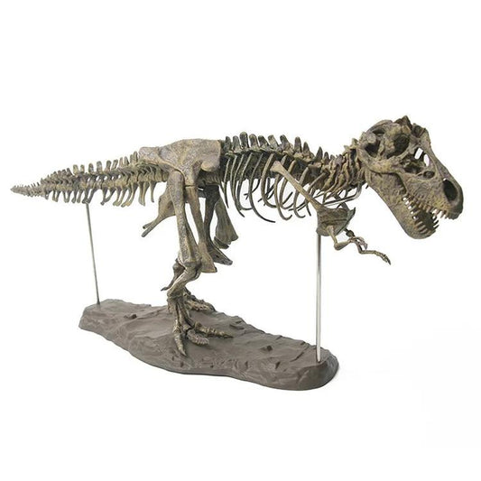 Large DIY T-Rex Dinosaur Skeleton Model Kit 70cm by HitMyNeed