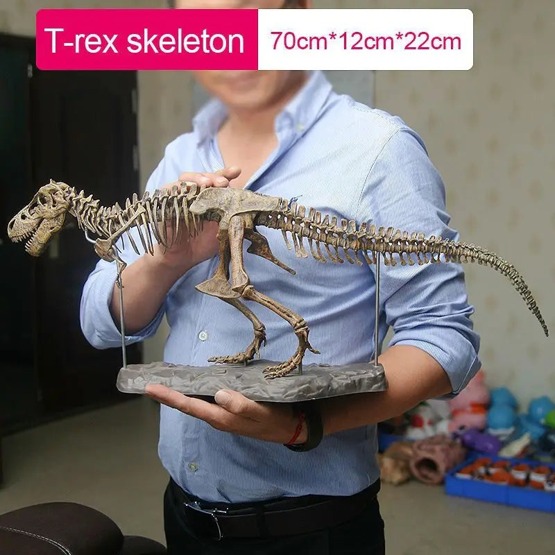 Large DIY T-Rex Dinosaur Skeleton Model Kit 70cm by HitMyNeed