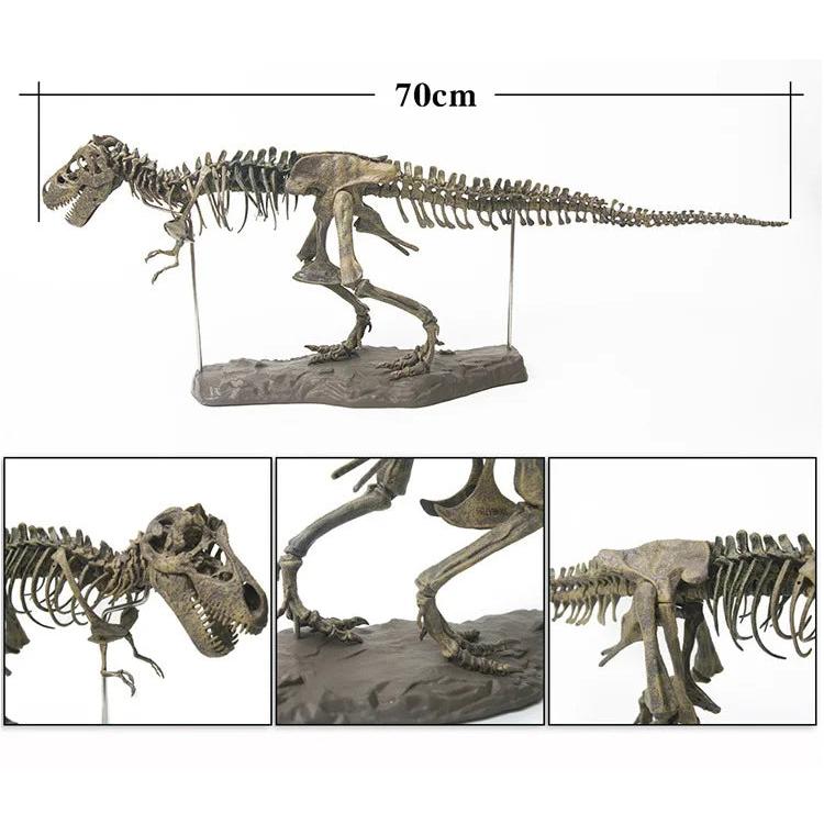Large DIY T-Rex Dinosaur Skeleton Model Kit 70cm by HitMyNeed