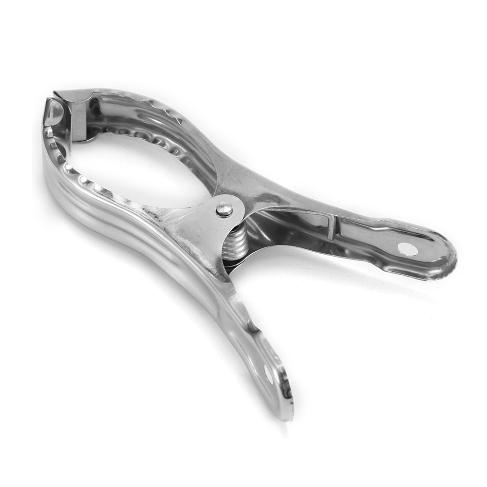 Large Stainless Steel Cloth Clips (Set of 5) by HitMyNeed