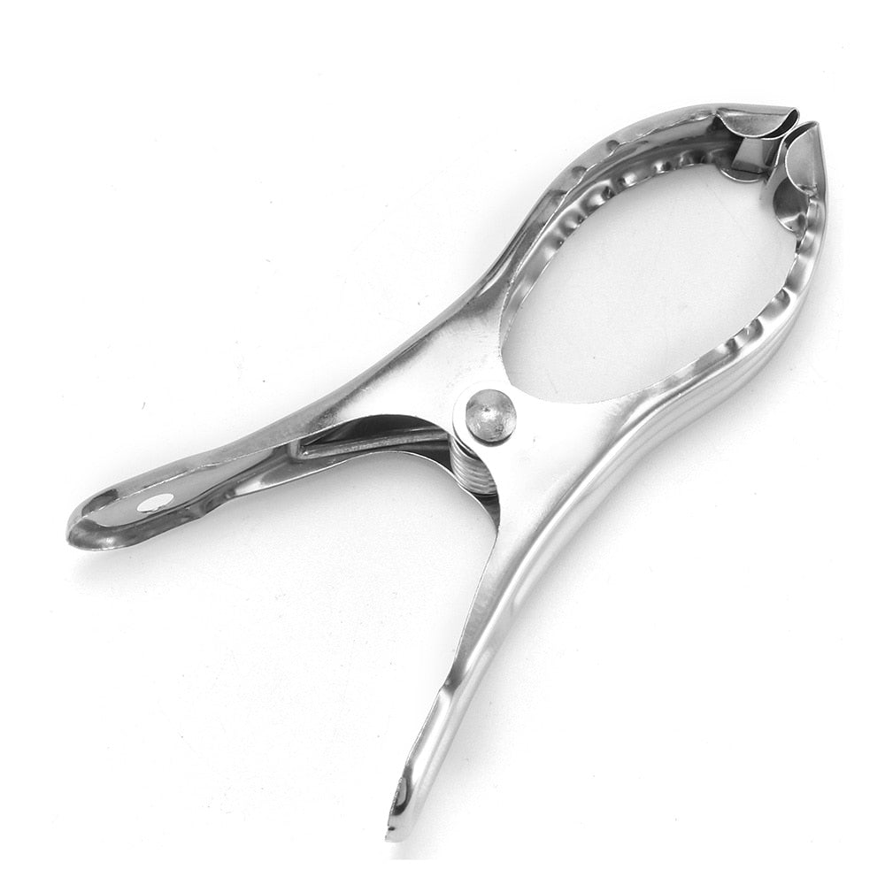 Large Stainless Steel Cloth Clips (Set of 5) by HitMyNeed
