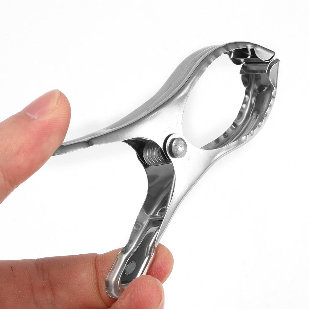 Large Stainless Steel Cloth Clips (Set of 5) by HitMyNeed