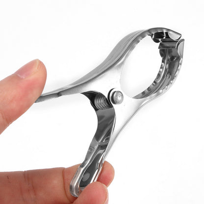 Large Stainless Steel Cloth Clips (Set of 5) by HitMyNeed