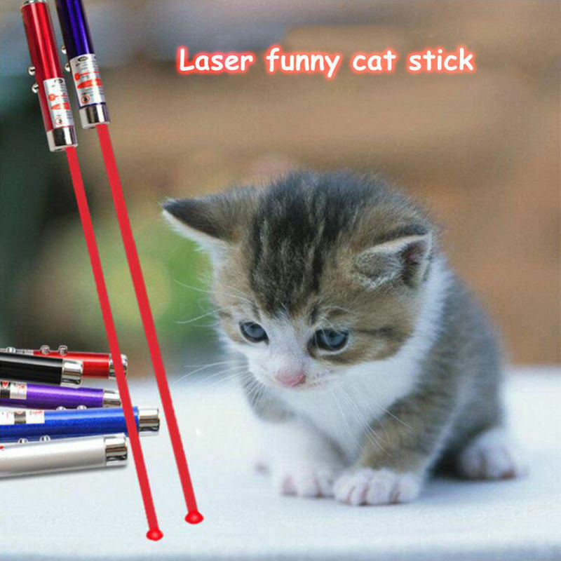 Laser Cat Toy Pointer with LED Light Keychain by HitMyNeed